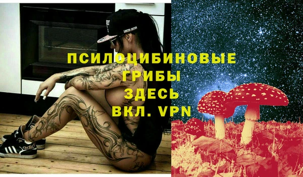 ALPHA-PVP Бородино