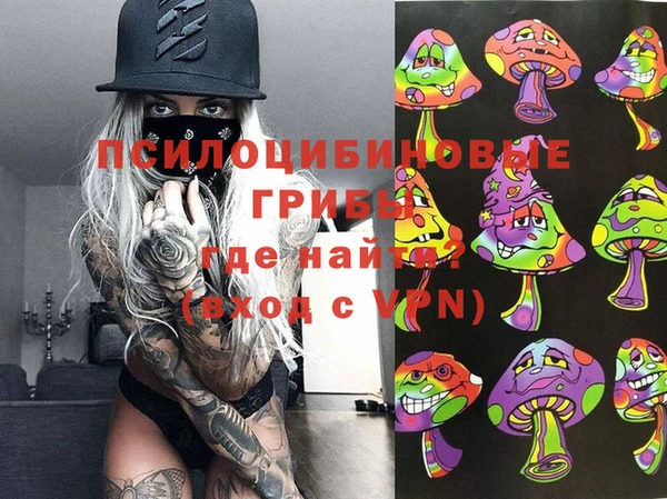 apvp Бронницы