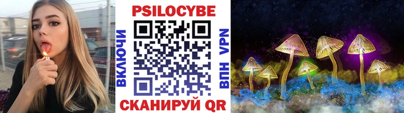 кракен сайт  Нюрба  Галлюциногенные грибы Psilocybine cubensis 